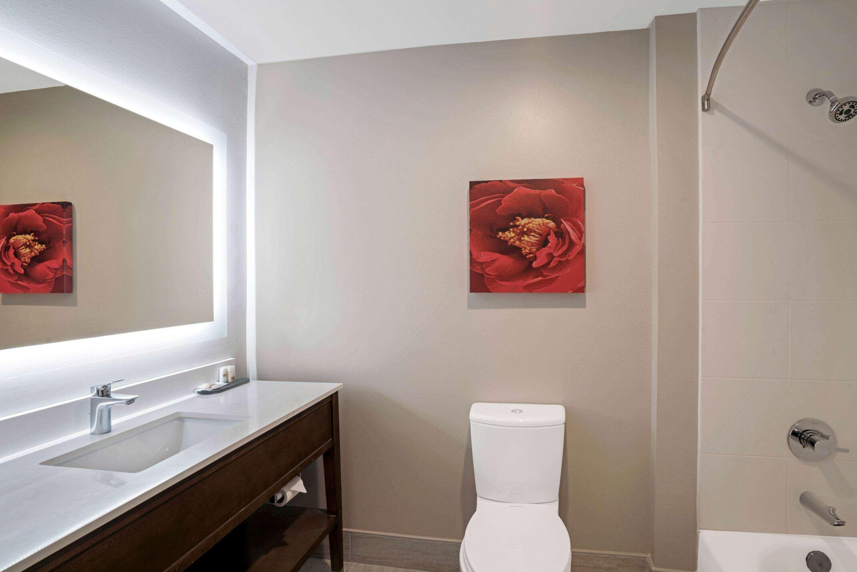 מלון La Quinta By Wyndham Tuscaloosa Mcfarland מראה חיצוני תמונה